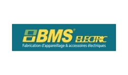 BMS Electric